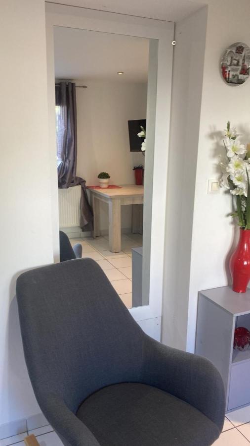 - Carre De Soie En Velin Apartment Vaulx-en-Velin