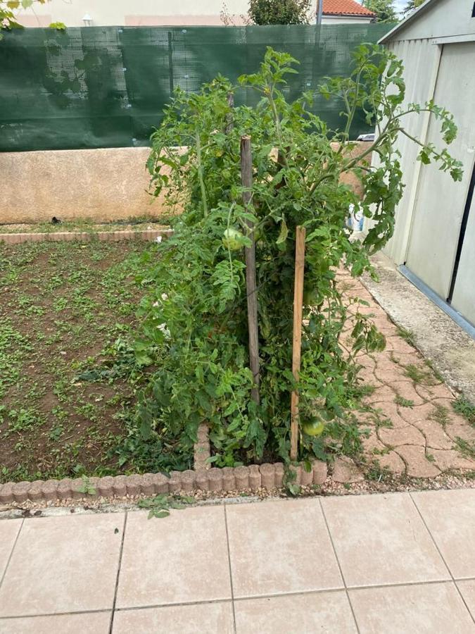 Appartement - Carré De Soie En Velin *